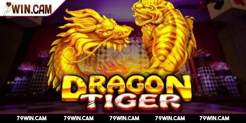 Cách chơi rồng hổ các bước chi tiết